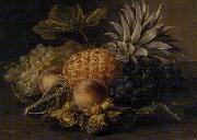 Fruits and hazelnuts in a basket Jensen Johan